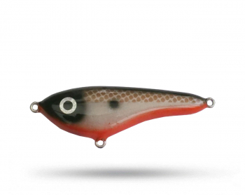 Smuttly Dog Dropbelly - Tenneessee Shad